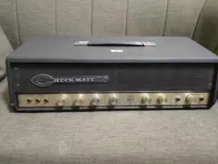 ジャンク テスコ Teisco Checkmate 25 アンプ
