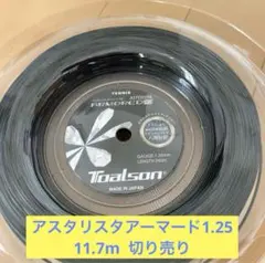 ASTERISTA ARMORED 1.25mm 11.7m ２カット