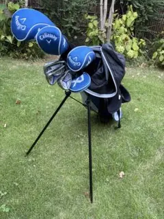 Item thumbnail for item 3a3c3be4-9b11-4438-aa49-5e79f0ab67ec