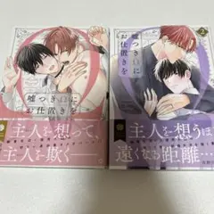 嘘つきΩにお仕置きを　2冊セット