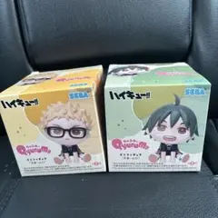 ハイキューきゅるみー