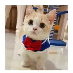 Item thumbnail for item 1c3858c6-012e-4c17-9573-0331f12419d2