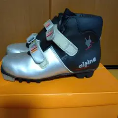 2025年最新】クロスカントリースキー アルピナ Alpinaの人気