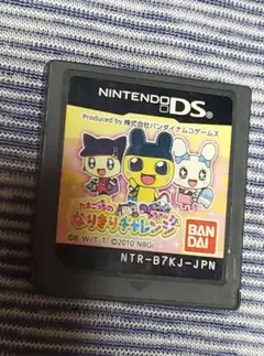 たまごっちのなりきりチャレンジ　DS