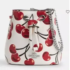 COACHドローストリング リストレット・チェリー プリント 【メーカー完売品】