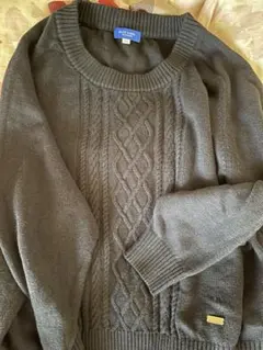 ブルーレーベル クレストブリッジ ニット