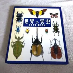 DeAGOSTINI　デアゴスティーニ　世界の昆虫