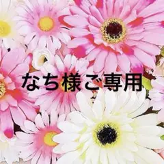 なち様ご専用