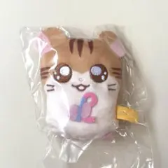 かぷっこふれんず トラハムちゃん