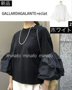 新品タグ付 ガリャルダガランテ×eclat ボリュームスリーブプルオーバー