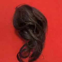 Item thumbnail for item 610856b2-6b0f-4cb1-97a5-9aa65a882bac