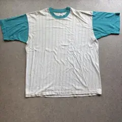 FRUIT OF THE LOOM ピンストライプTシャツ XL USA製