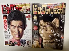 ビッグコミック 2025.8.10 ビッグコミックオリジナル 2025.8.5