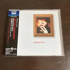 未公開のエクスペリエンス・ムービー