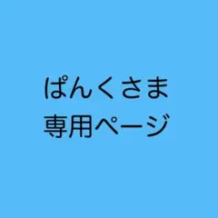 ぱんくさま専用　オーダー巾着1個