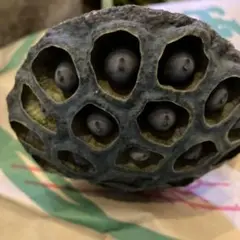 確認品　まるちゃん様
