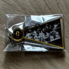 ジャイアンツ 新風チャレンジくじ アクリルキーホルダー