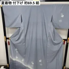 AK-7677 夏着物 付下げ 裄69.5 絽 トールサイズ 源氏香 正絹