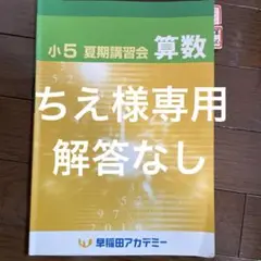 小5 夏期講習会 算数