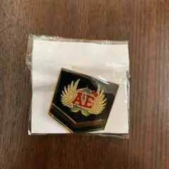 ももクロ　ANGEL EYES 会員バッチ　初年度