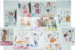 直筆イラストサイン本2冊 全巻初版帯付 1~13巻 新品未開封 妻、小学生になる