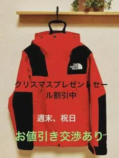 THE NORTH FACE ノースフェースマウンテンジャケットNP61800