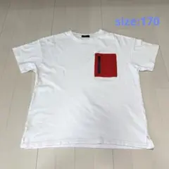 GLAZOS グラソス　ドロップさショルダーTS 170