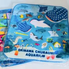 【新品未使用】沖縄美ら海水族館 タオル 2枚セット