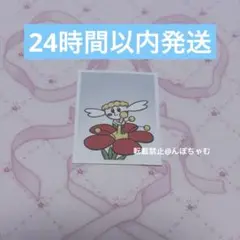 韓国限定 ポケモン 証明写真 フラエッテ 1枚