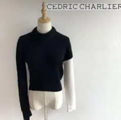 新品タグ付き　CEDRIC CHARLIE セドリック シャルリエ　ニット 2025年最新】CEDRIC CHARLIER ニット・セーターの人気アイテム