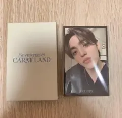 SEVENTEEN carat land インスタントフォトカードセット