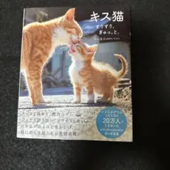 キス猫 すりすり、ぎゅっ、と。