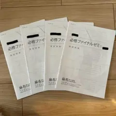 【即日匿名配送】必修ファイナルゼミ4冊