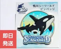 鴨川シーワールド　55周年 ピンバッジ