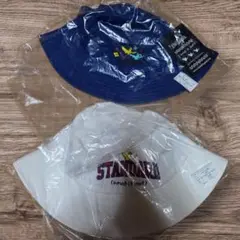 Item thumbnail for item 740feade-c292-4b7d-9eff-159647256acb