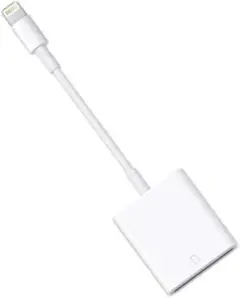 Item thumbnail for item 6b8add7a-a3d8-4591-bb94-bdceffc09387