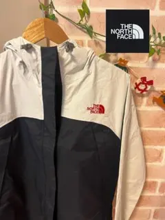 【日本未発売!超人気!】THE NORTH FACE ナイロンジャケット