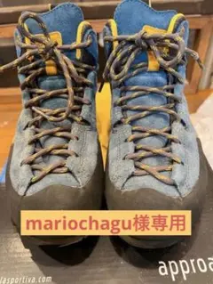 スボルティバのボルダーX MID GTX 37 Blue/Yellow