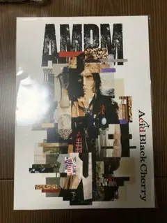 新品AMPM Acid Black Cherry予約特典　ビジュアルシート