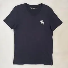アバクロ Abercrombie & Fitch Tシャツ 黒 ビッグロゴ