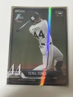 Item thumbnail for item d74b01d8-eb90-4b7e-aac5-3c28e14c87ce