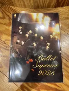 【新品】〈バレエ・スプリーム〉2025／公演プログラム