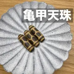 亀甲天珠 (きっこうてんじゅ) ３個セット