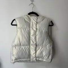Item thumbnail for item f1220428-a566-42ce-acdf-56978721350e