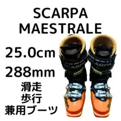 ★SCARPA／スカルパ★MAESTRALE／マエストラーレ★28cm 楽天市場】スカルパ SCARPA MAESTRALE マエストラーレ 25.5cm