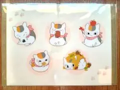 夏目友人帳　カフェ　ニャンコ先生　A4クリアファイル