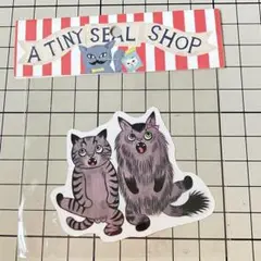 Cat’s ISSUE × 石黒亜矢子さん