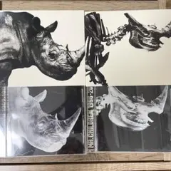 「MR.CHILDREN1992-1995、1996-2000」2枚セット