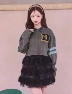 新品未使用 Darich カレッジワッペンショートニットトップス