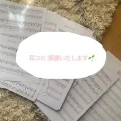 耳コピ、採譜いたします